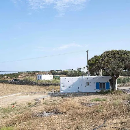 Traditional In Paros. * Drios